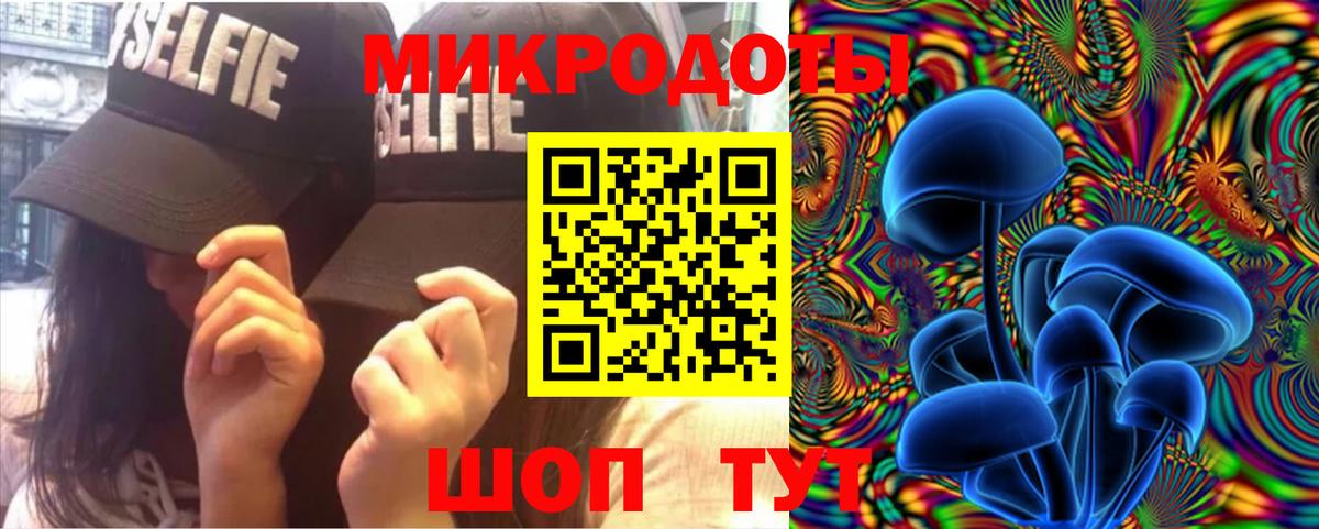 Псилоцибиновые грибы Psilocybine cubensis Новоалтайск