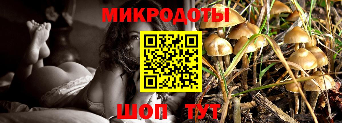 Псилоцибиновые грибы мухоморы  Вход с VPN  Псилоцибиновые грибы мухоморы  Новоалтайск 